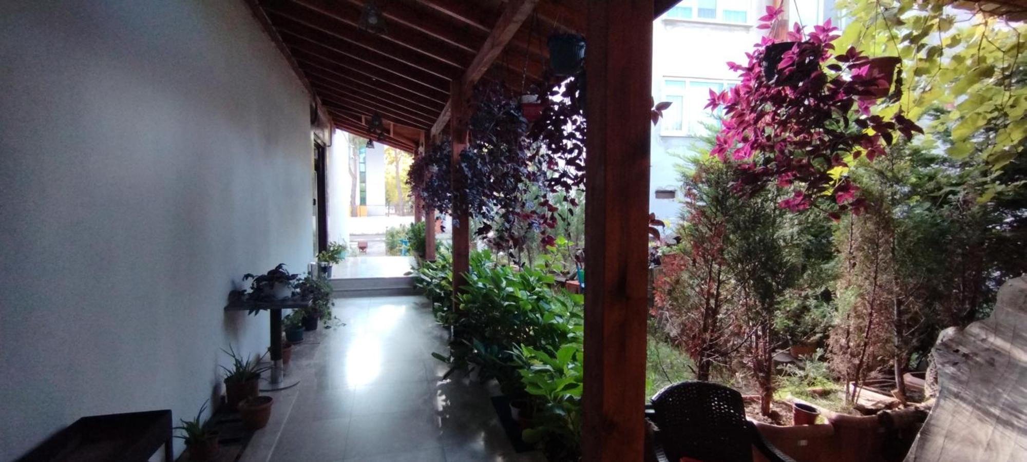 Ceneviz Suit Hotel Akçakoca Exteriör bild